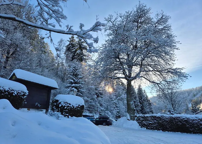 Ferienwohnungen Tannenhof