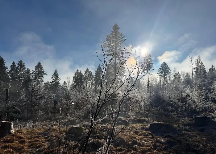 Hotel mit Aussicht: Maiers Hotel