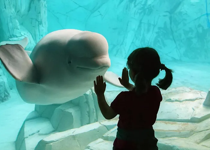 Sole Rosso - Panoramic Aquarium Walk