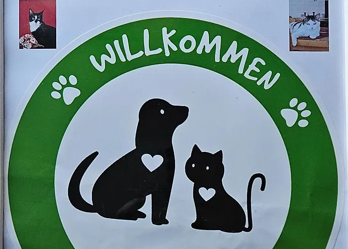 Medebach - Zum Schwanenkönig