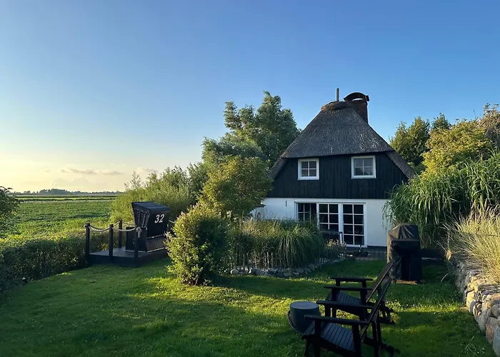 Haustierfreundliches Hotel: Loft32