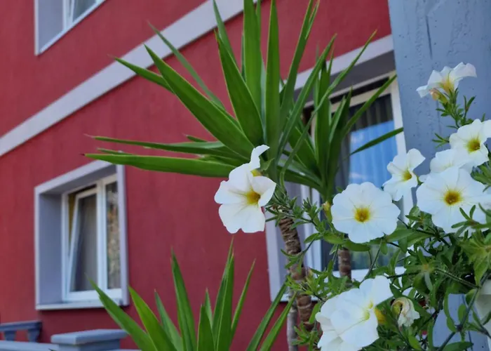 Pension Pale' Bach