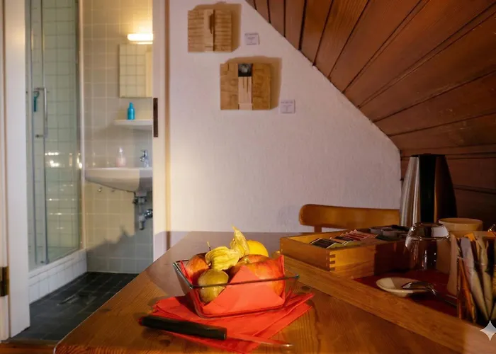 Rhein River Guesthouse - direkt am Rhein