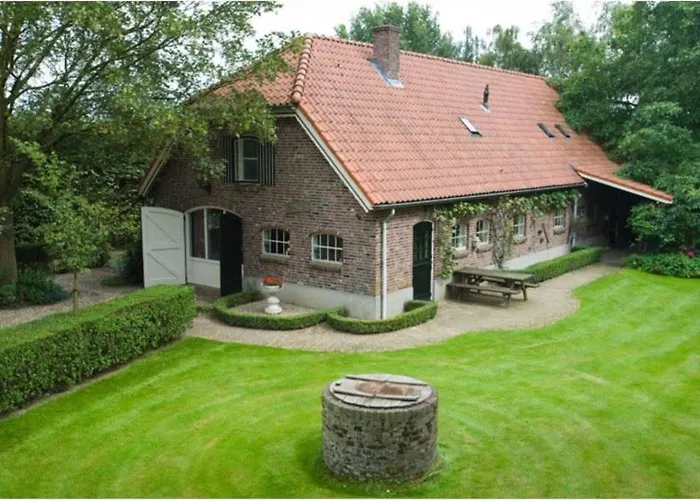 de Zeilende kraay