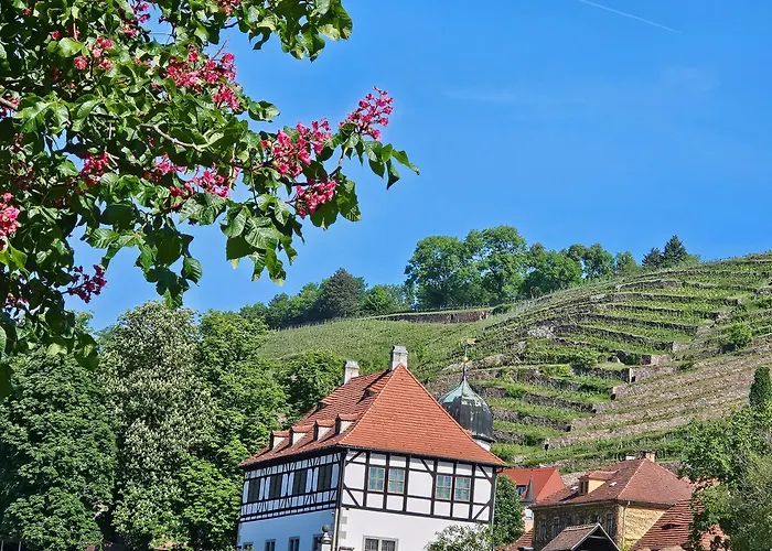 Pension am Elberadweg