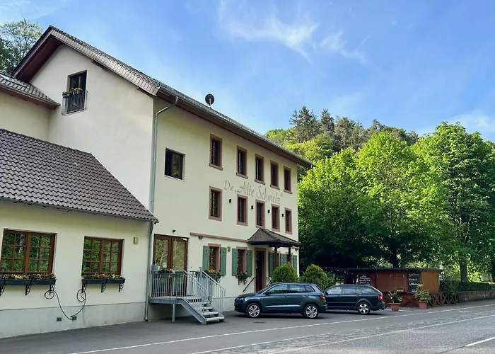 Die Alte Schmelz