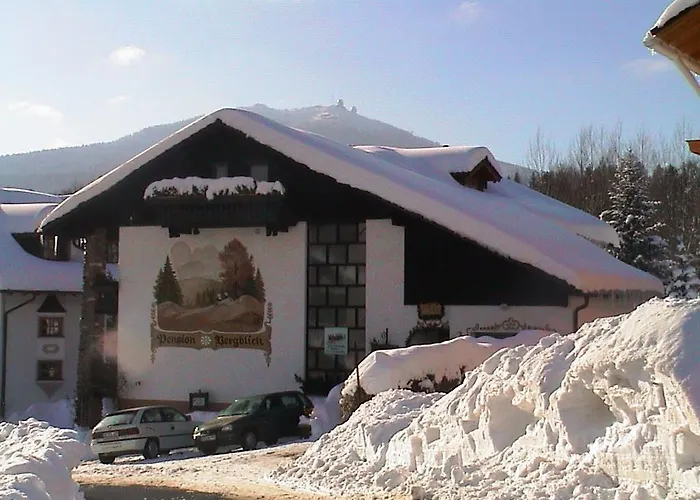 Pension Bergblick