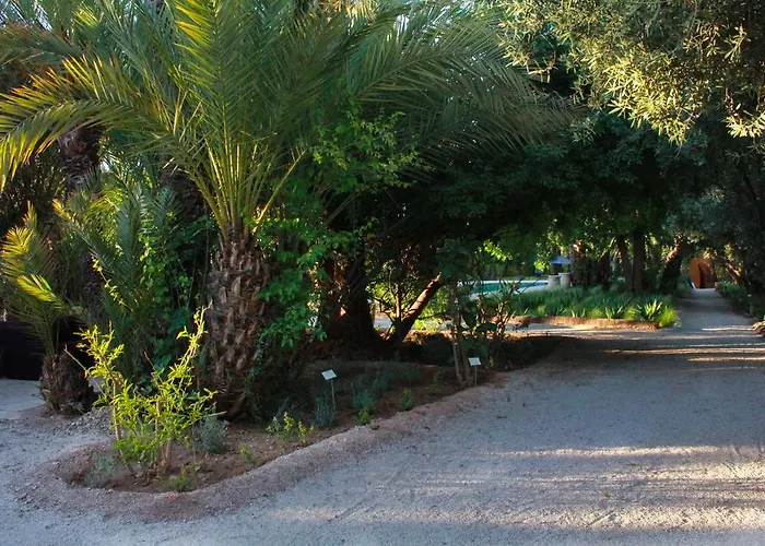 Resort: Jnane Tamsna