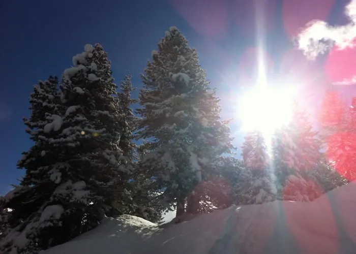 3-Sterne-Hotel: Gästehaus Eberl - Rita