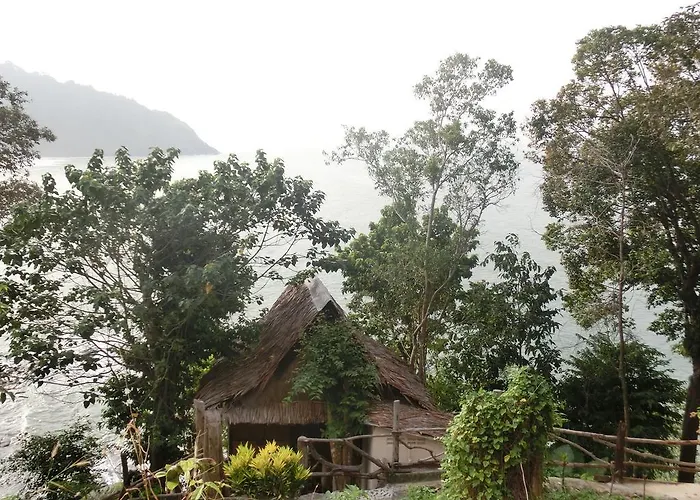 Bamboo Bay