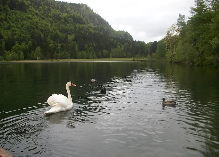 Ferienvermietung: Haus Alpenrose