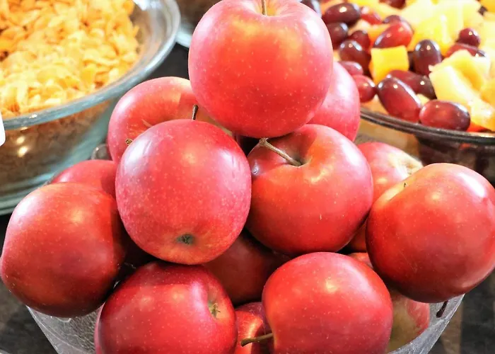 Günstiges Hotel: Scope Hotel Dresden Airport