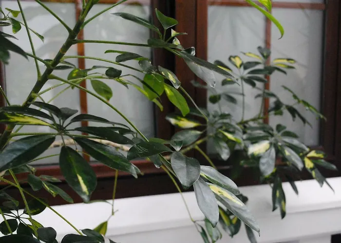 Hostal Costa De La Luz