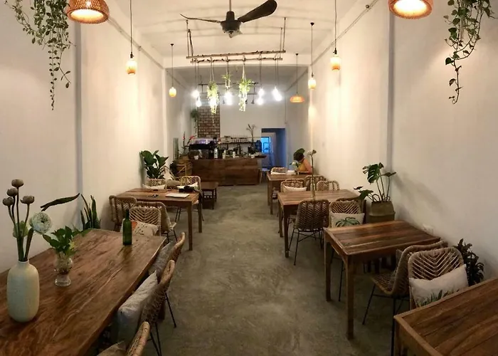 Sacred Lotus - Vegan Cafe X Hostel
